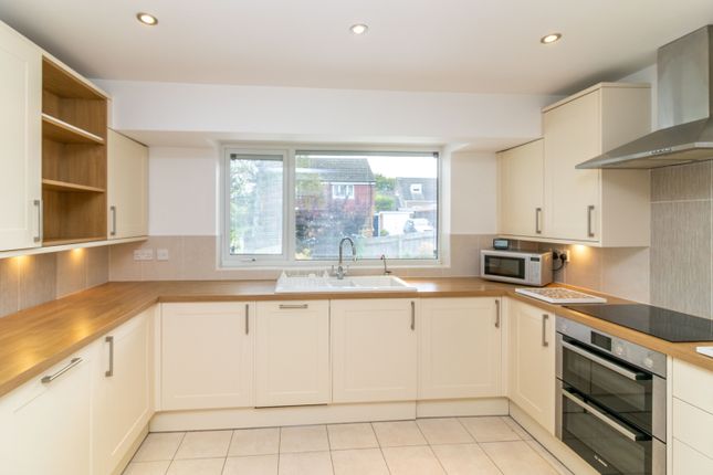 Detached bungalow to rent in Sun Hill Crescent, Alresford, Hampshire