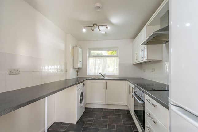 Lime Close, Chichester photo 3