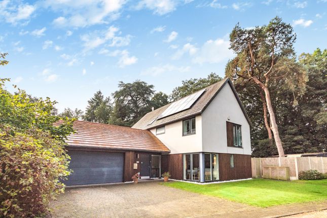 Thumbnail Detached house for sale in Littlewood, Drayton, Norfolk
