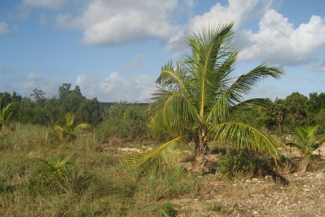 Land for sale in Wemyss Bight, Eleuthera, The Bahamas