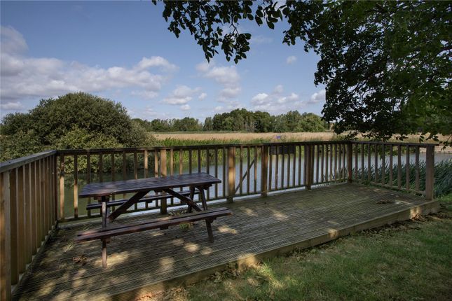 River View