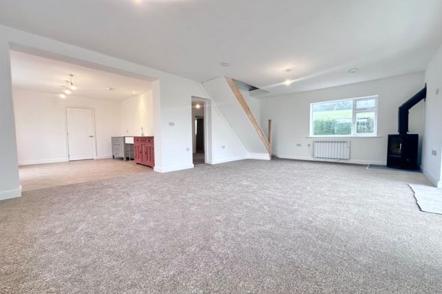 Thumbnail Bungalow for sale in Cattistock, Dorchester