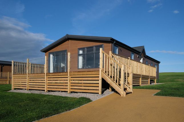 Thumbnail Lodge for sale in Coniston View Colt Park, Ulverston, Cumbria