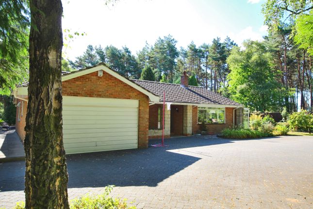 Thumbnail Detached house to rent in Hurn Road, Matchams, Ringwood, Hampshire