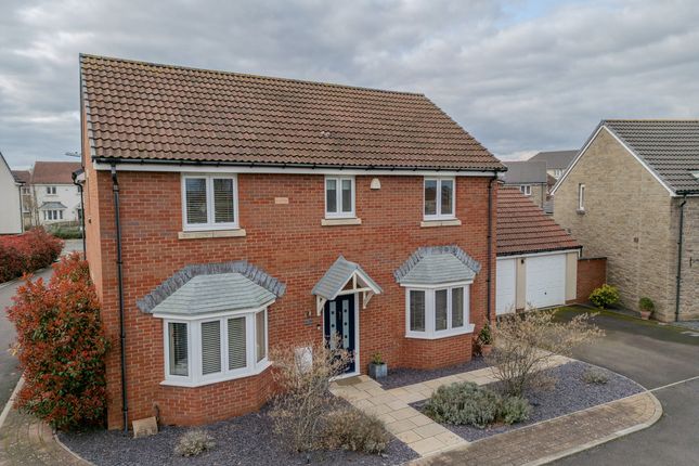 Thumbnail Detached house for sale in Bridling Crescent, Newport