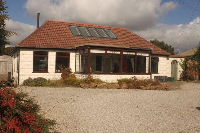 A Beautiful House, Barton Tor House okehampton, Okehampton photo 3