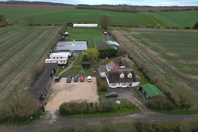 Thumbnail Commercial property for sale in Kennels, Cattery &amp; Equestrian Businesses CB10, Great Chesterford, Essex