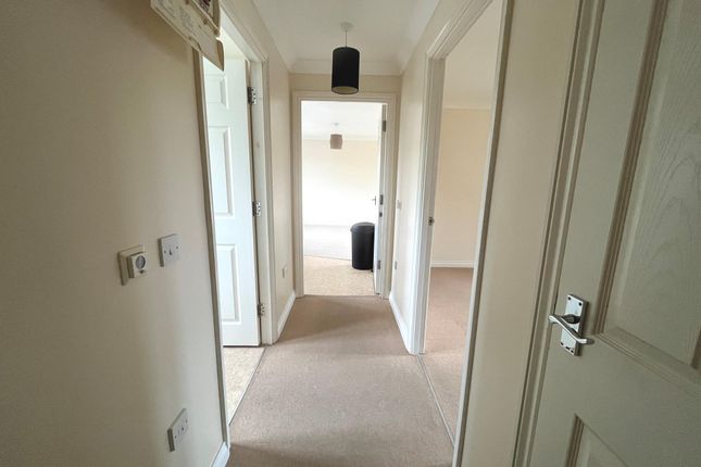 9, Lime Tree Place, Ipswich photo 2