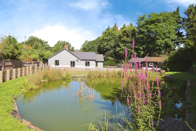 Thumbnail Detached bungalow for sale in Shatterling, Canterbury