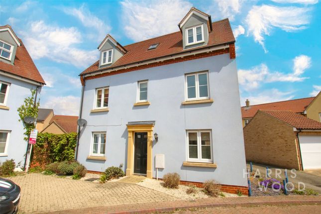 Thumbnail Detached house to rent in Kirk Way, Colchester, Essex