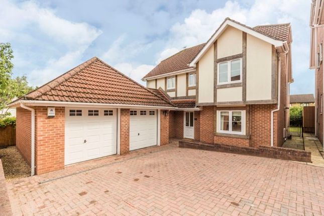 Thumbnail Detached house for sale in Blossom Grove, Langstone, Newport