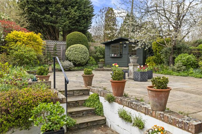 Clematis Cottage,, Westcott Street, Westcott photo 5