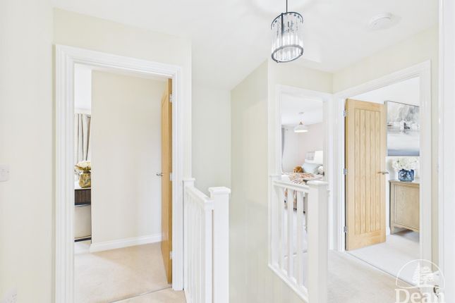 Show Home
