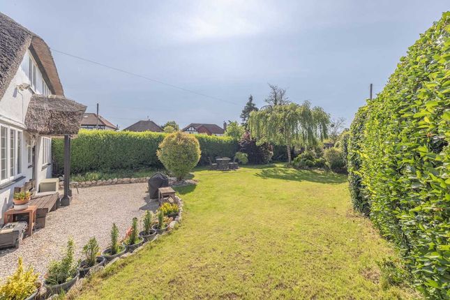 62, Syke Cluan, Richings Park photo 2