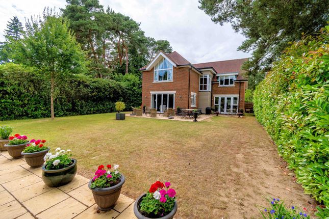 23, Dormy Crescent, Ferndown photo 4