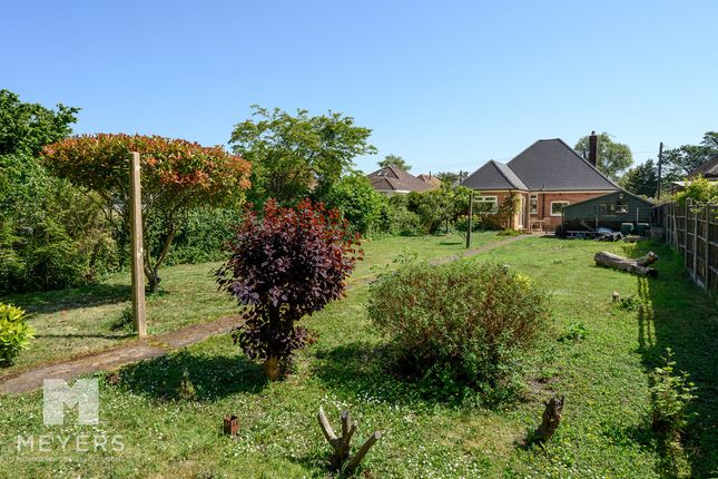 15, North Poulner Road, Ringwood photo 2