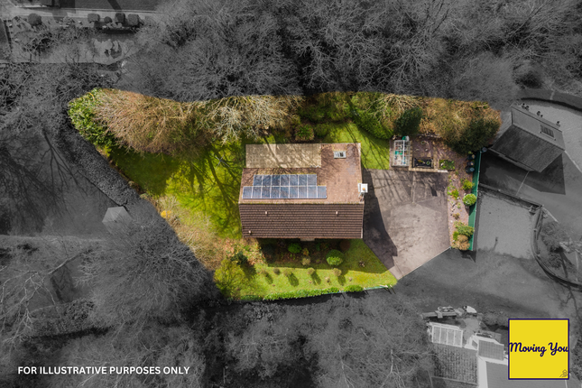 Nant Arian, Swansea photo 2