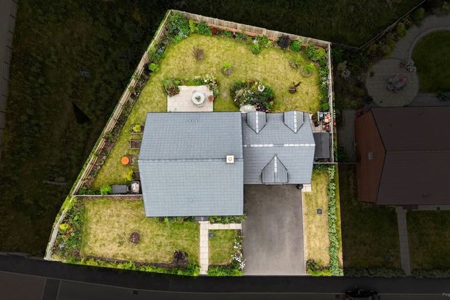 18 Clifford Place, Stafford photo 4