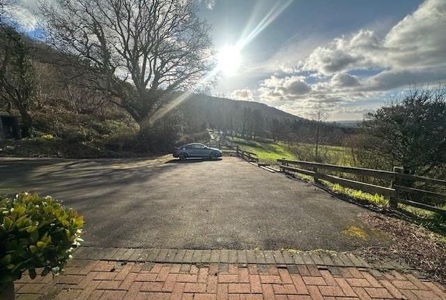 Driveway.Jpg