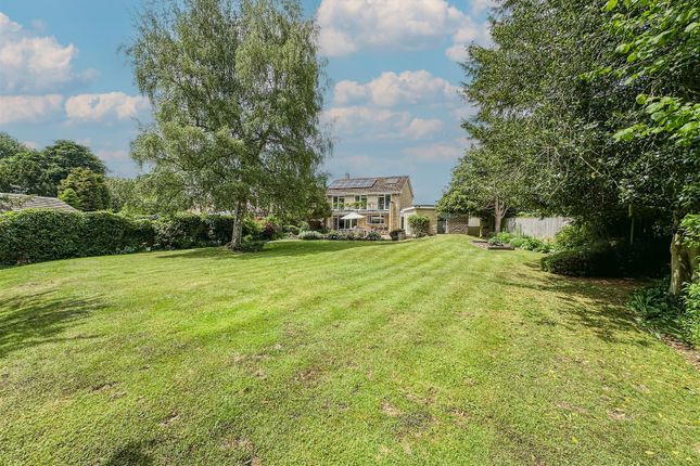 Rear Garden/Elevation