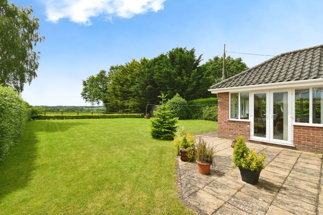 Thumbnail Bungalow for sale in High Road, Roydon, Diss