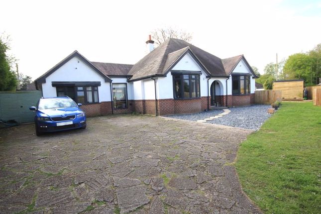 Thumbnail Detached bungalow for sale in Tilstock Lane, Prees Heath, Whitchurch