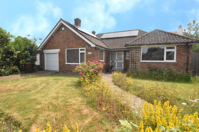 Thumbnail Detached bungalow for sale in The Grove, Bexhill-On-Sea