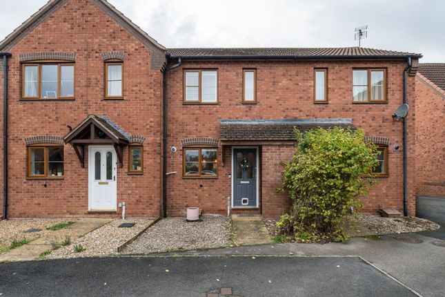 1372592-30-690394...