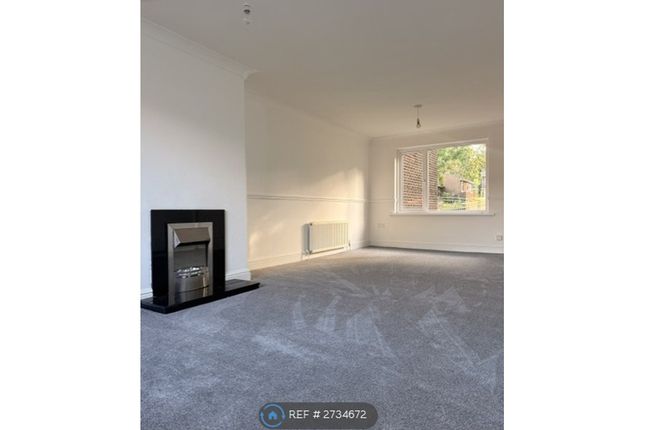 Culzean Court, Blackhill, Consett photo 4