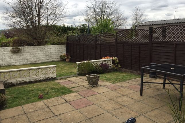 12, Swansea photo 5