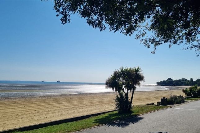 The Strand, Ryde photo 2