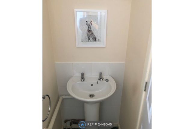 Downstairs Toilet (Sink)