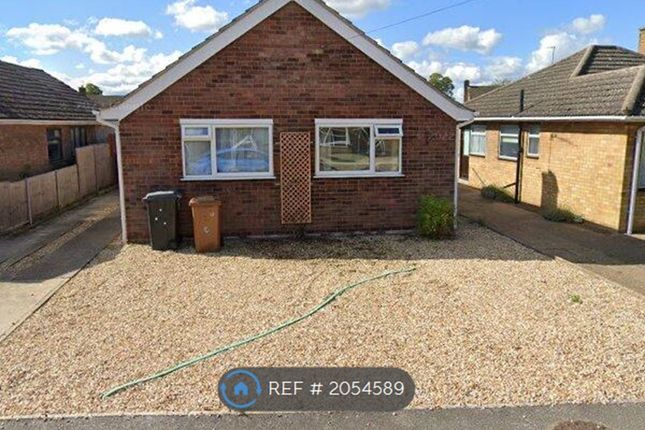Thumbnail Bungalow to rent in Matlock Dr, Lincoln
