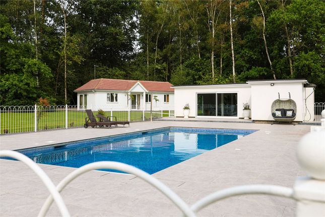 Pool &amp; Annex