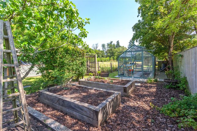 Vegetable Patch