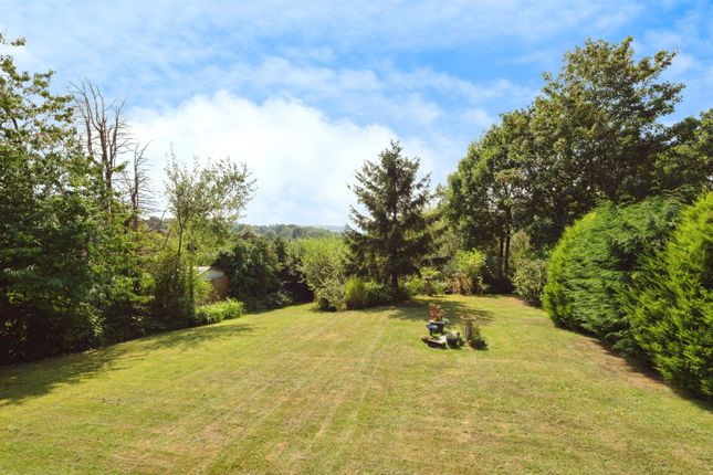Garden 2