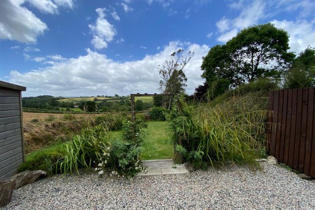 Newton Cottages, Launceston photo 3