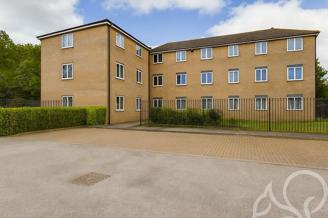 Chatgpt Image Nov 26, 2025, 11_55_09 Am.Png