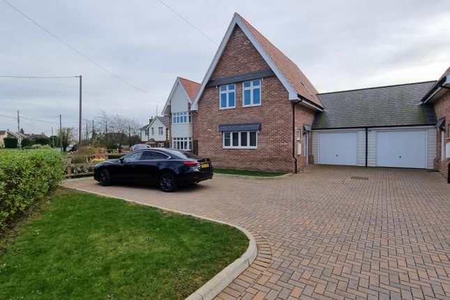 Thumbnail Link-detached house to rent in Tollesbury Road, Tolleshunt D'arcy, Maldon