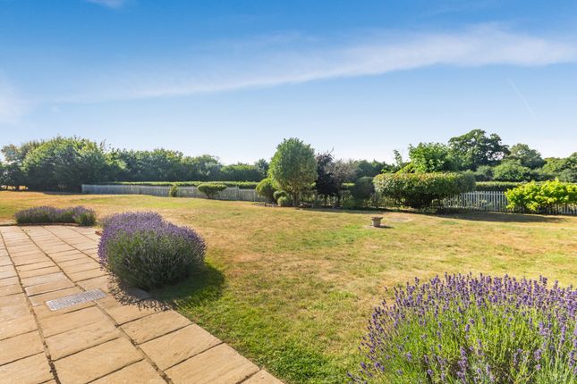 White House Farm, Fullers Hill, Hyde Heath, Amersham photo 3