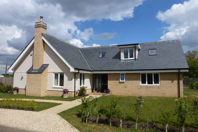 Thumbnail Detached house to rent in Dairy Close, Hollesley