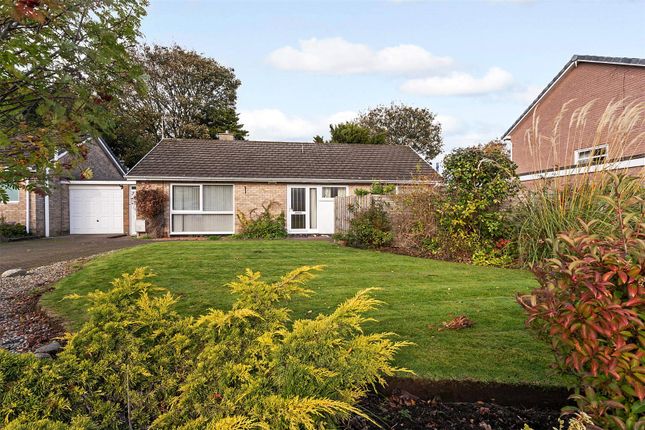 Thumbnail Bungalow for sale in Frobisher Avenue, Falkirk