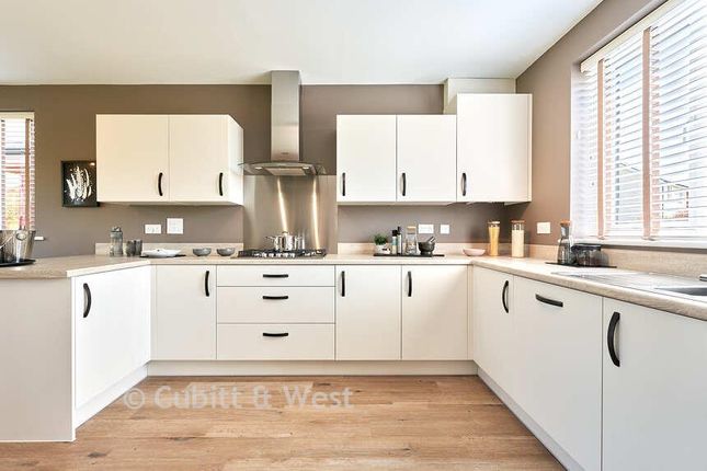 Plot 198, Chicory Crescent, Hailsham photo 4