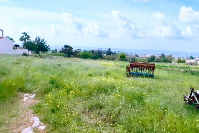 Thumbnail Land for sale in Anarita, Paphos, Cyprus