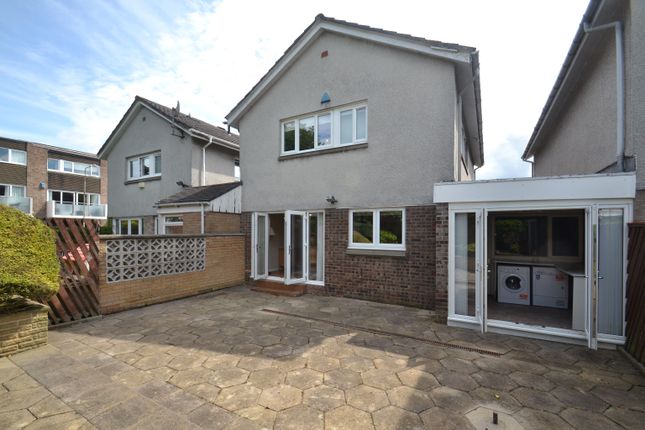 Link-detached house for sale in Burnhead Road, Newlands