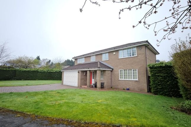 1, Rosebank, Bolton photo 2