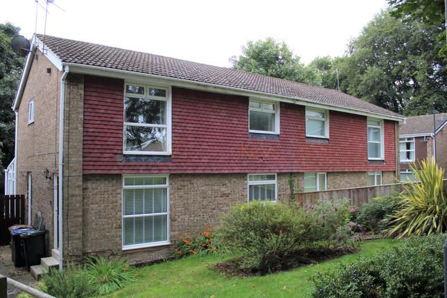 Thumbnail Flat for sale in Wood Grove, Newcastle Upon Tyne, Tyne And Wear