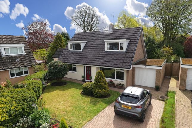 Thumbnail Detached house for sale in Gingerbread Lane, Nantwich