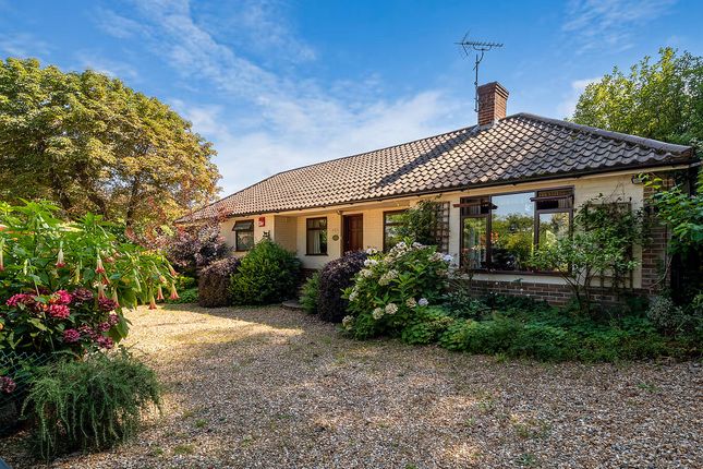 Detached bungalow for sale in Holly Hill Lane, Sarisbury Green, Southampton