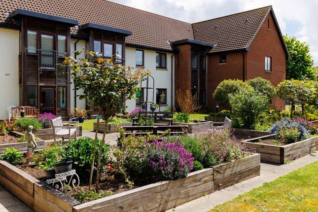 Thompson Close, Haughley, Stowmarket photo 4